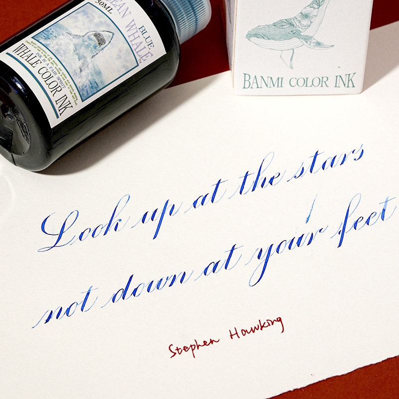 Inchiostro per penna stilograf - Fountain Pen Bottled Ink recensione e prezzo