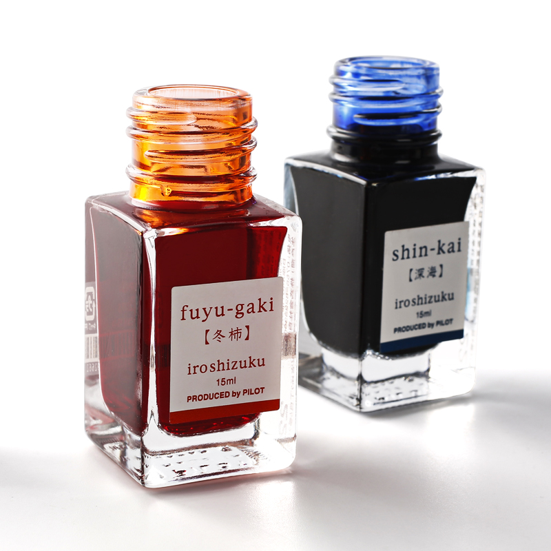 1 Flacone di Inchiostro Japan  - Fountain Pen Bottled Ink recensione e prezzo