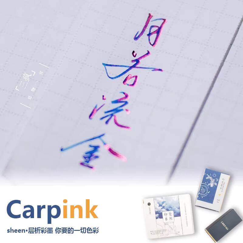 Bottiglia di inchiostro per pe - Fountain Pen Bottled Ink recensione e prezzo